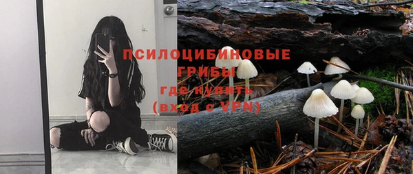прущие крисы Вяземский