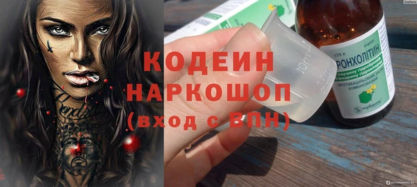прущие крисы Вяземский